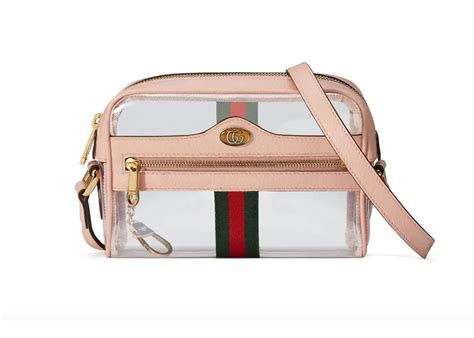 clear gucci crossbody